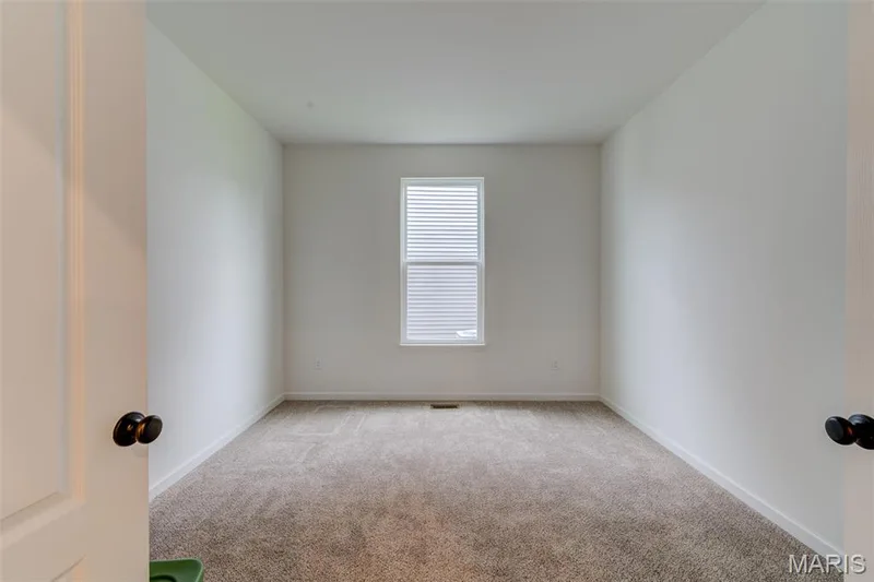 327 Dalriada Boulevard, O'Fallon, MO 63368 — listing photo 14 of 37