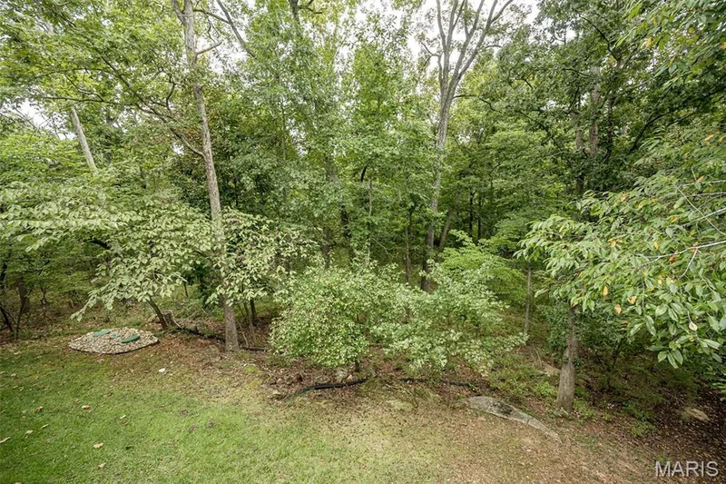 18852 Highwood Estates Drive, Wildwood, MO 63069 — listing photo 67 of 97