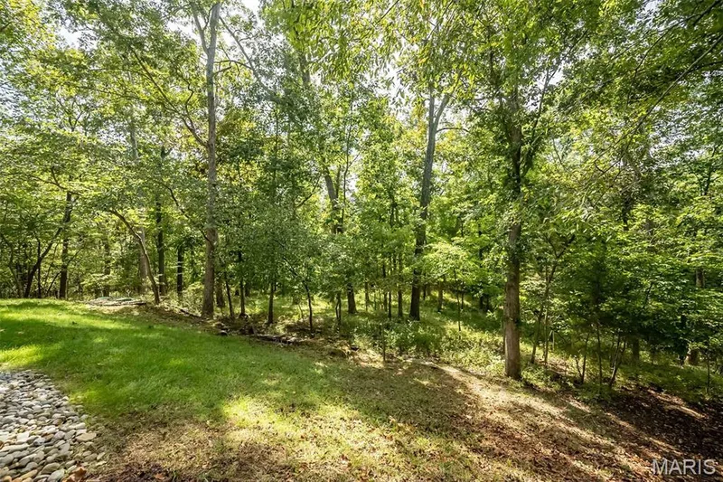 18852 Highwood Estates Drive, Wildwood, MO 63069 — listing photo 61 of 97