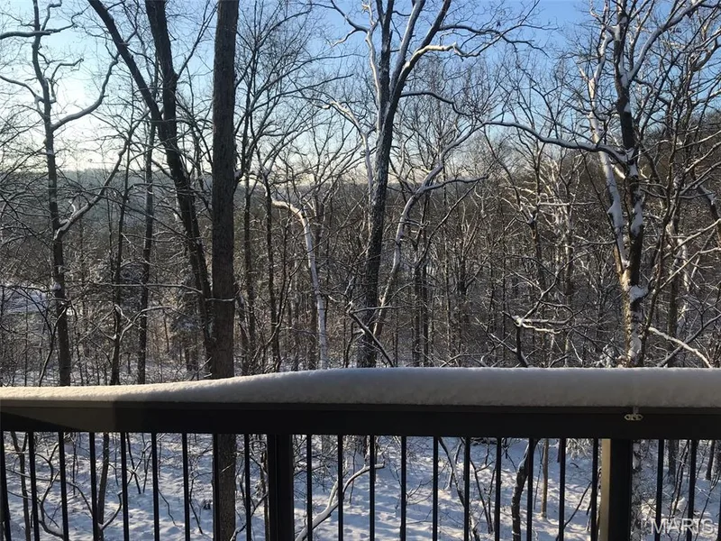 18852 Highwood Estates Drive, Wildwood, MO 63069 — listing photo 86 of 97