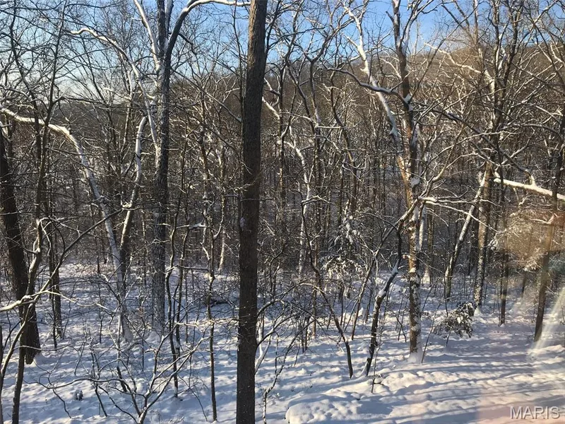 18852 Highwood Estates Drive, Wildwood, MO 63069 — listing photo 87 of 97