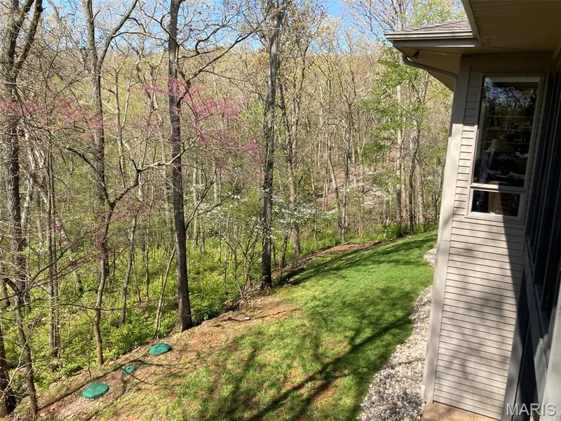 18852 Highwood Estates Drive, Wildwood, MO 63069 — listing photo 93 of 97