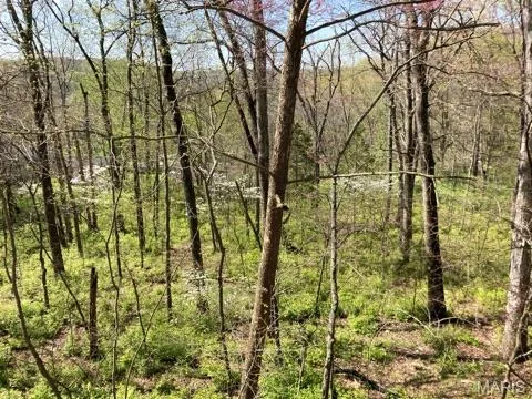 18852 Highwood Estates Drive, Wildwood, MO 63069 — listing photo 94 of 97