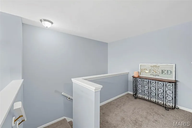 282 Le Beau Lane, St Charles, MO 63303 — listing photo 19 of 37