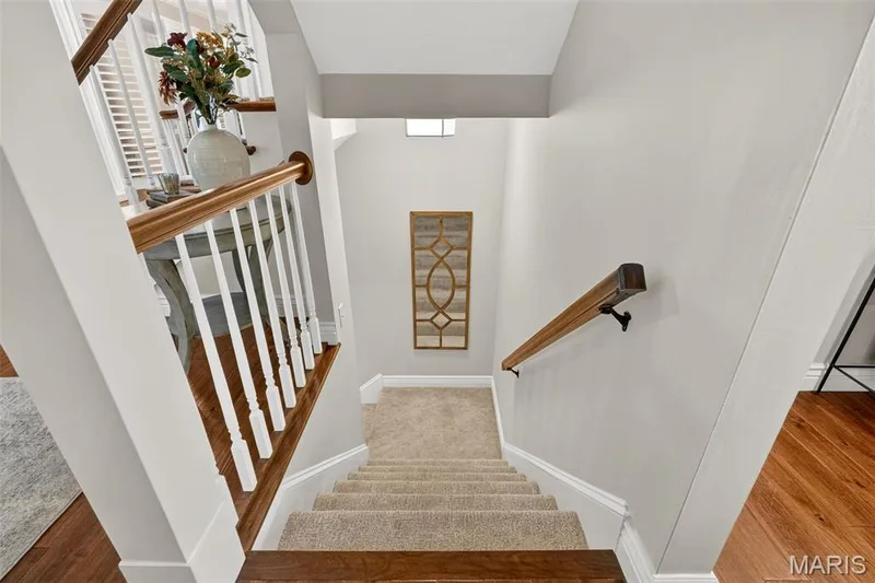 9 Clarkson Farm Drive, Chesterfield, MO 63017 — listing photo 78 of 91