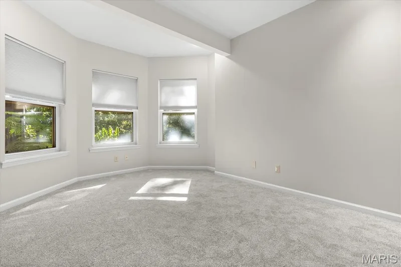 Lower Level Bedroom or office area — 16 Regatta Bay Court, Lake St. Louis, MO 63367