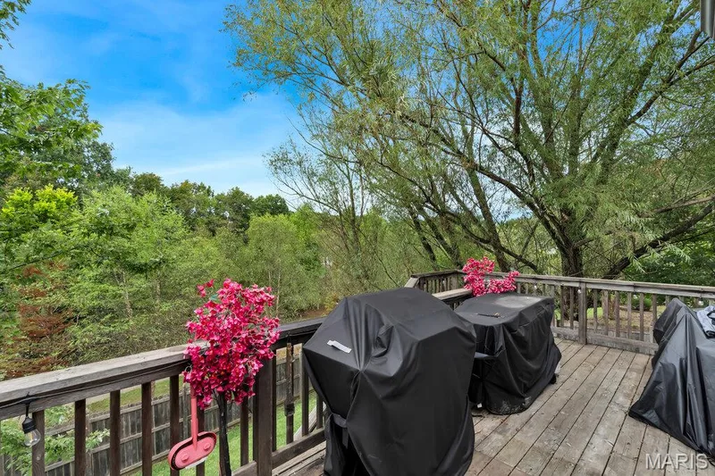 34 Saint Nicholas Court, St Charles, MO 63366 — listing photo 36 of 48