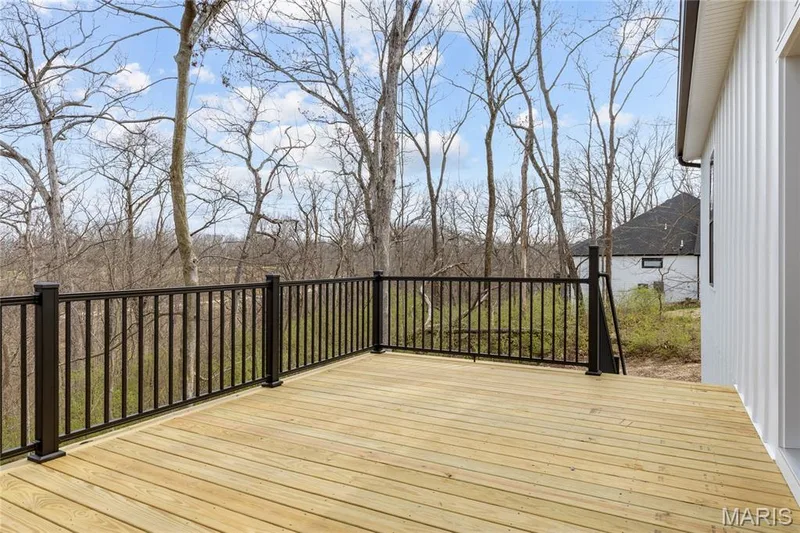 218 Ella Rose Lane, St Charles, MO 63304 — listing photo 44 of 57