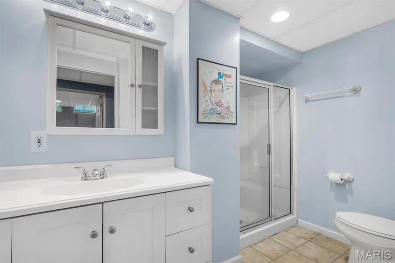 3552 Sutton Drive, St Charles, MO 63301 — listing photo 44 of 53
