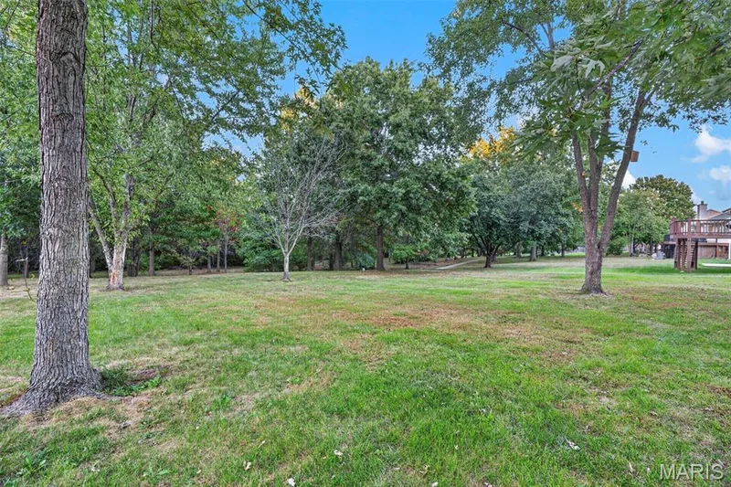 2105 Beckewith Trail, O'Fallon, MO 63368 — listing photo 58 of 59