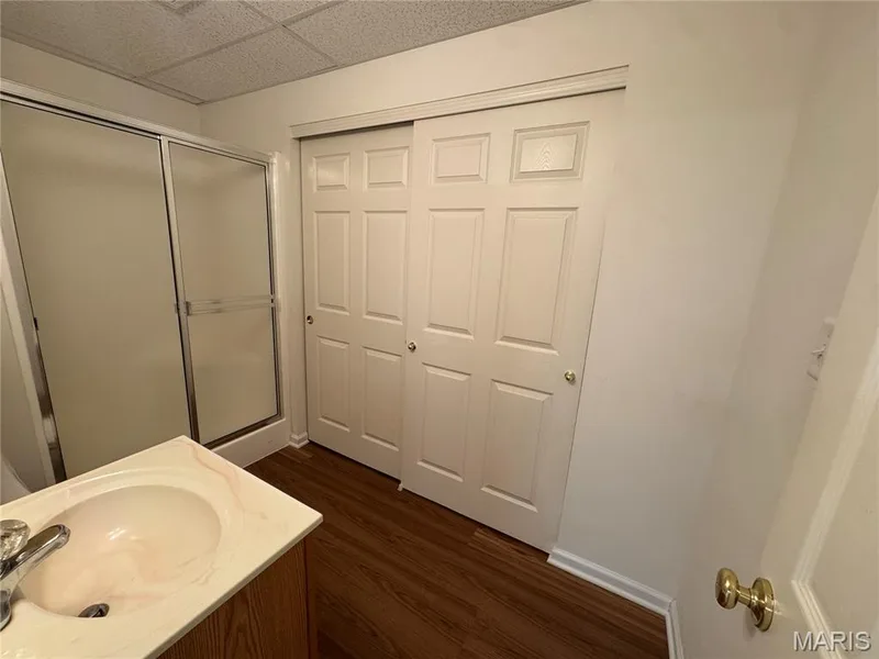 Bathroom #3 in lower level — 32 Austin Hill Court, Wentzville, MO 63385