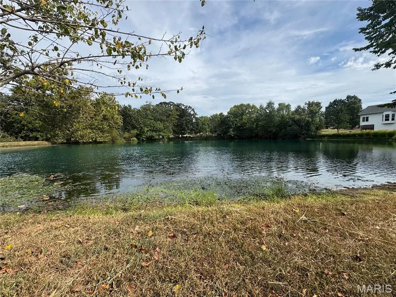 Just a short walk to the Community Lake! — 32 Austin Hill Court, Wentzville, MO 63385