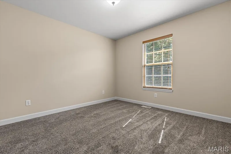 2221 Homefield Grove Drive, O'Fallon, MO 63366 — listing photo 28 of 38
