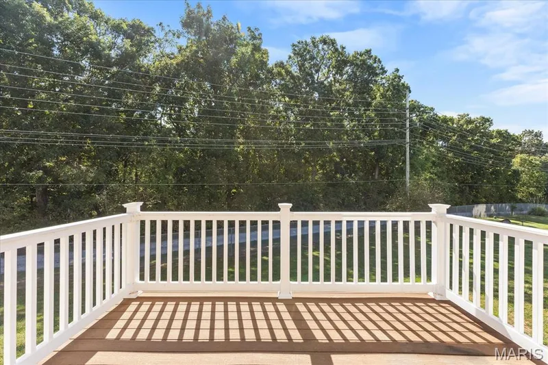 2221 Homefield Grove Drive, O'Fallon, MO 63366 — listing photo 31 of 38