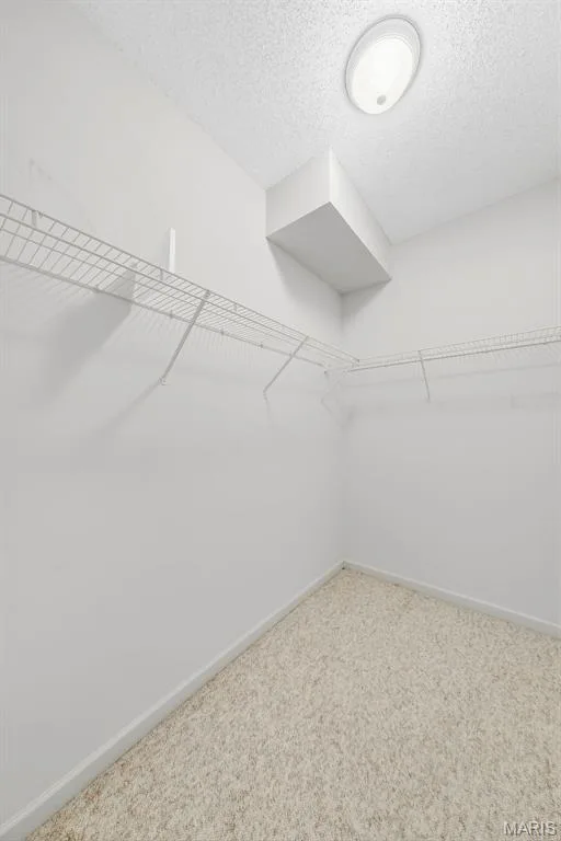 2102 Hawks Landing Drive, Lake St. Louis, MO 63367 — listing photo 61 of 91