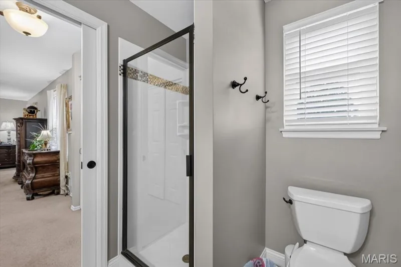 5 Cloverhill Court, St Charles, MO 63376 — listing photo 24 of 47