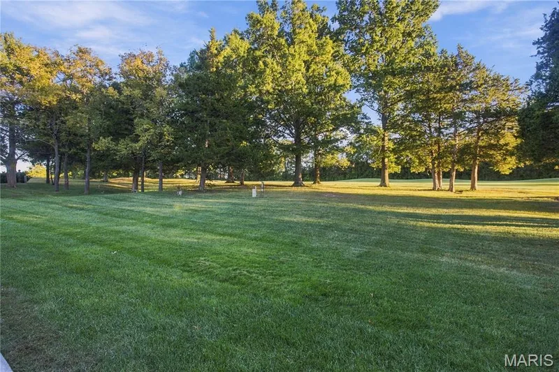 2450 Golden Bear Way #703A, Wentzville, MO 63385 — listing photo 29 of 34