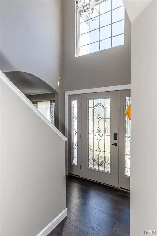 232 Spring Borough Drive, O'Fallon, MO 63368 — listing photo 3 of 40