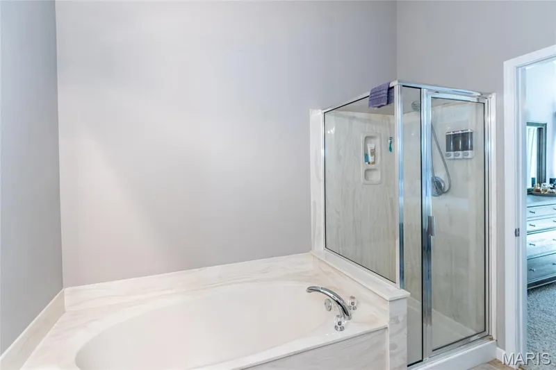 232 Spring Borough Drive, O'Fallon, MO 63368 — listing photo 23 of 40