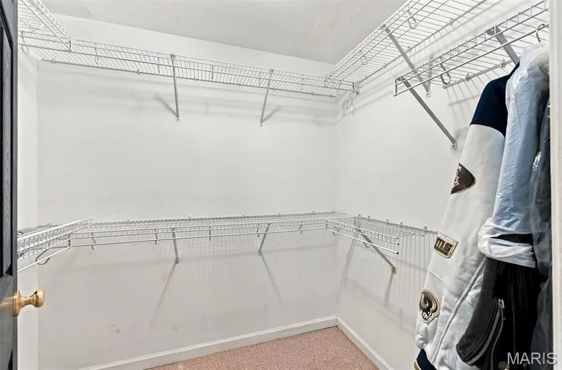 408 Saint Gemma Drive, O'Fallon, MO 63366 — listing photo 38 of 50
