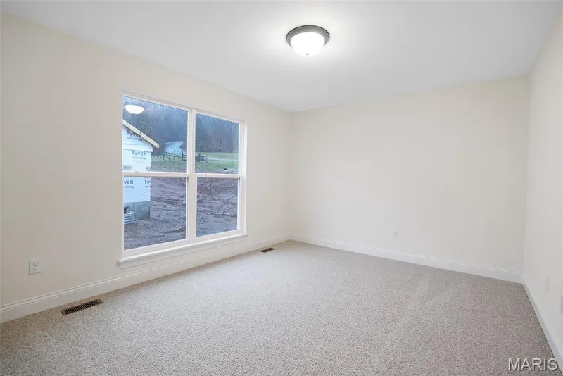 2 Buckley at Post Farms Enclave, O'Fallon, MO 63385 — listing photo 12 of 47