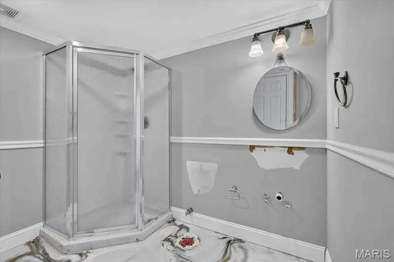 314 Coley Court, Wentzville, MO 63385 — listing photo 47 of 62