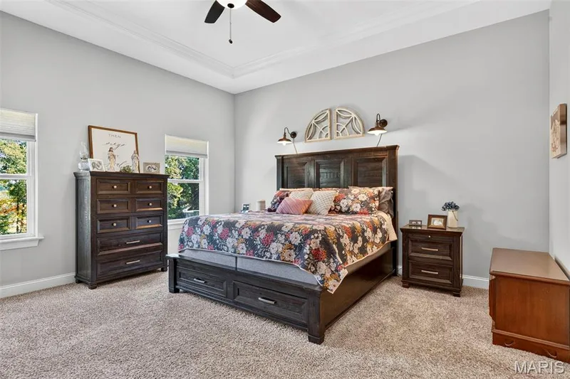 313 Wilmer Farm Trail, Wentzville, MO 63385 — listing photo 31 of 55