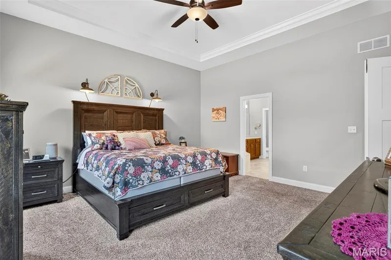313 Wilmer Farm Trail, Wentzville, MO 63385 — listing photo 32 of 55