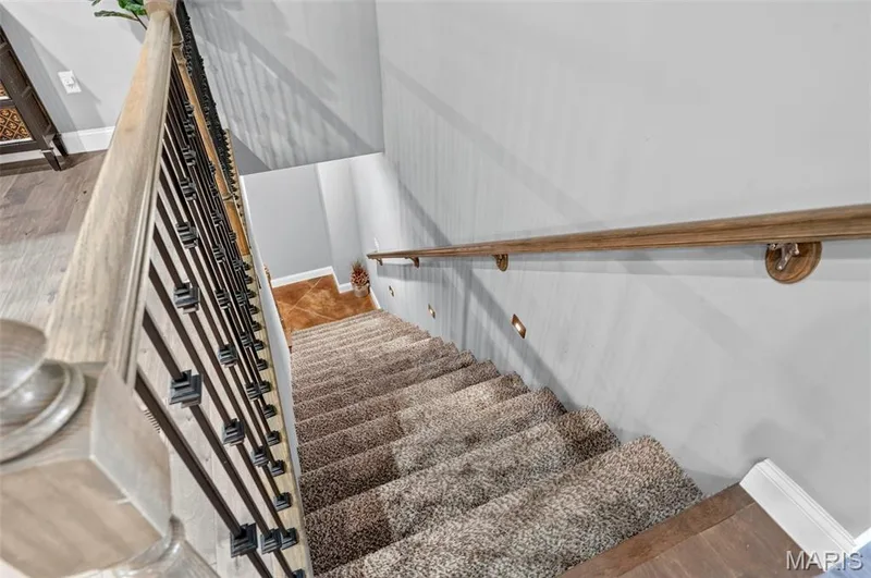 313 Wilmer Farm Trail, Wentzville, MO 63385 — listing photo 37 of 55