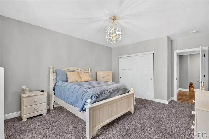 313 Wilmer Farm Trail, Wentzville, MO 63385 — listing photo 46 of 55