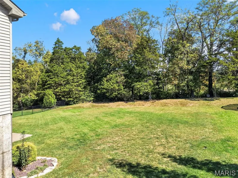 313 Wilmer Farm Trail, Wentzville, MO 63385 — listing photo 53 of 55