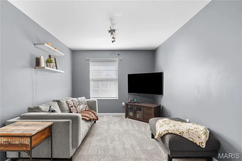 Bonus Room, Loft, Rec Room, you choose! Great for gaming, movie nights or arts & crafts! — 2542 Amber Willow Court, Lake St. Louis, MO 63367