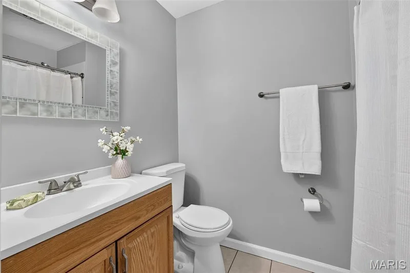 Single sink and shower — 17 Savoy Drive, Lake St. Louis, MO 63367