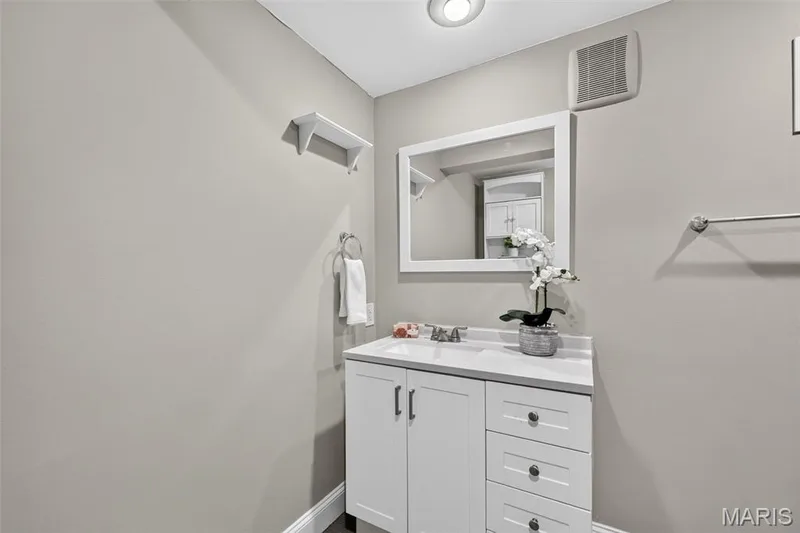 Bathroom in Basement — 17 Savoy Drive, Lake St. Louis, MO 63367