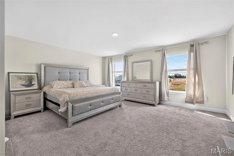 335 Valley Bluff Drive, Wentzville, MO 63385 — listing photo 34 of 56
