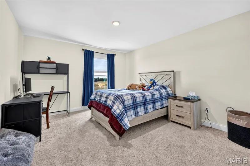 335 Valley Bluff Drive, Wentzville, MO 63385 — listing photo 37 of 56