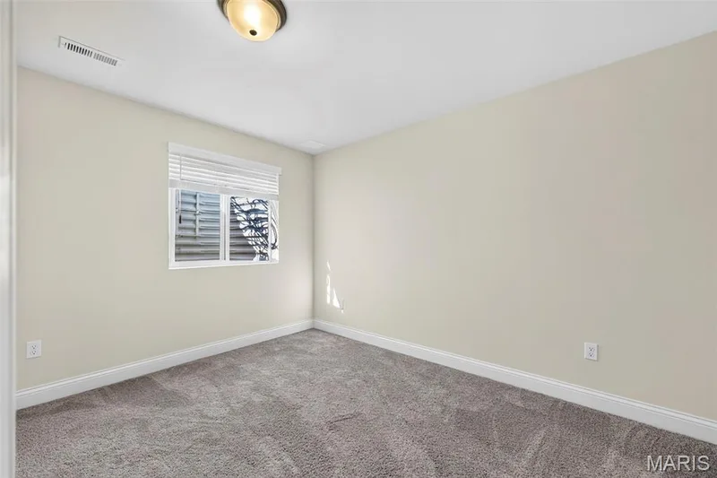 335 Valley Bluff Drive, Wentzville, MO 63385 — listing photo 47 of 56