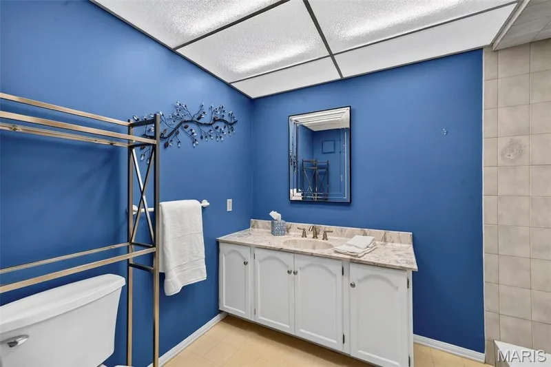 1922 Buckington Drive, Chesterfield, MO 63017 — listing photo 43 of 55