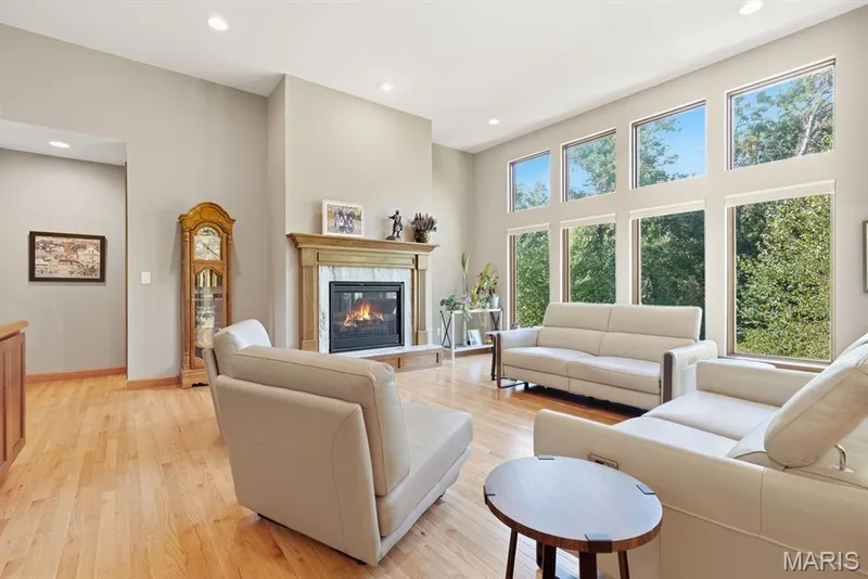 Bright and airy room with view of the wooded backyard — 117 Trail Creek Court, St Charles, MO 63304