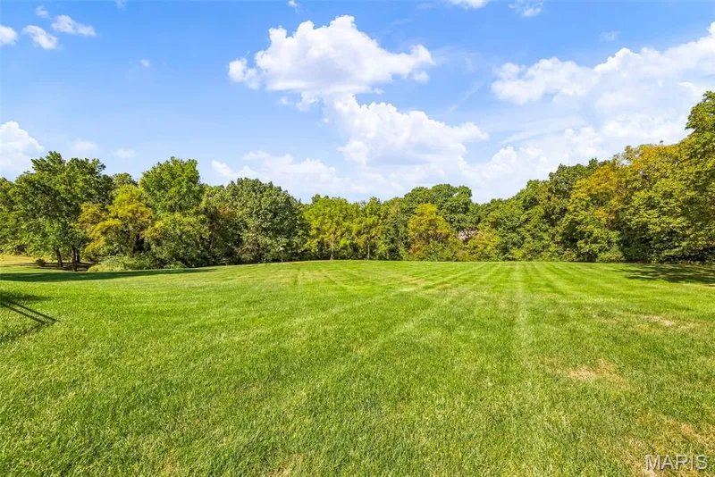 3029 Rockwood Trail, St Charles, MO 63303 — listing photo 61 of 66