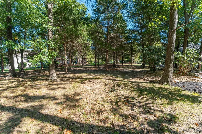 405 Charlemagne Drive, Lake St. Louis, MO 63367 — listing photo 49 of 57