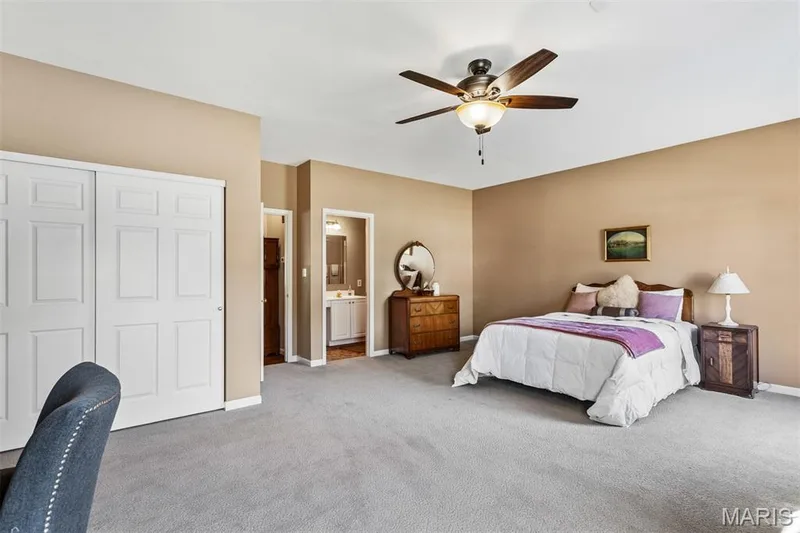 166 Tennessee Walker Way, St Peters, MO 63376 — listing photo 28 of 50