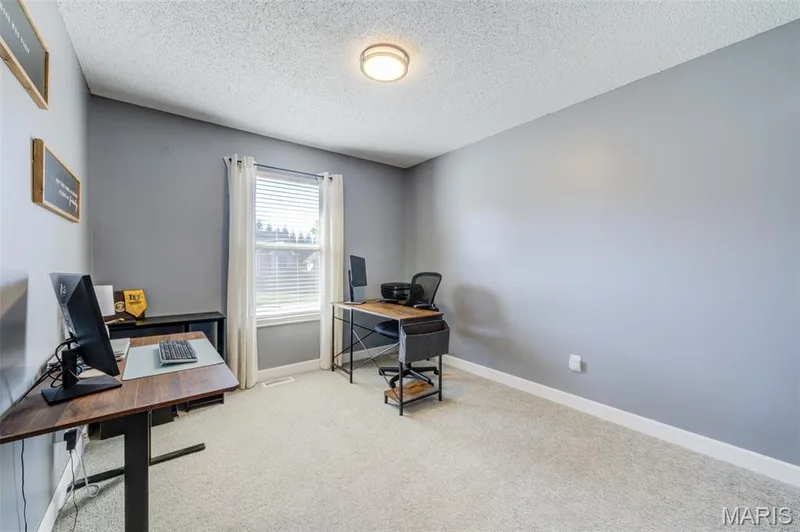 415 Lantana Lane, St Peters, MO 63376 — listing photo 24 of 61