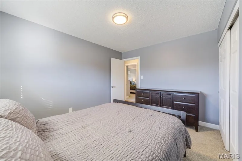 415 Lantana Lane, St Peters, MO 63376 — listing photo 29 of 61