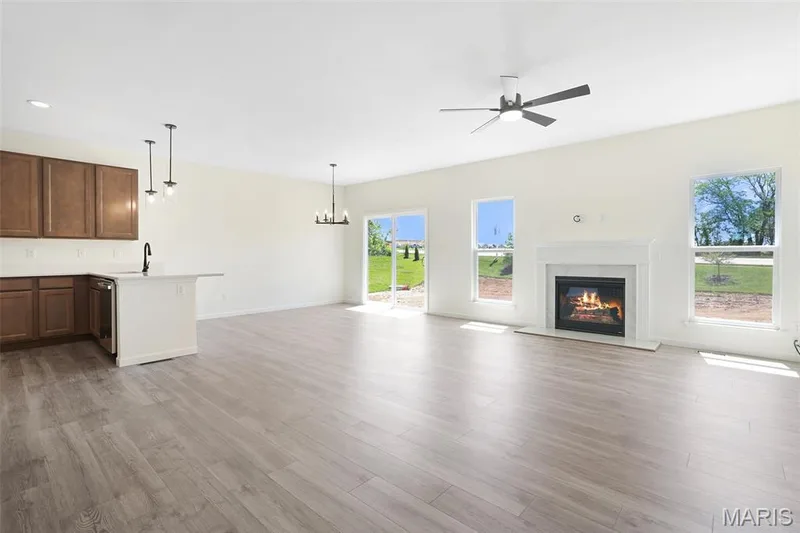 117 Cardinal Flower Drive, Wentzville, MO 63385 — listing photo 2 of 24