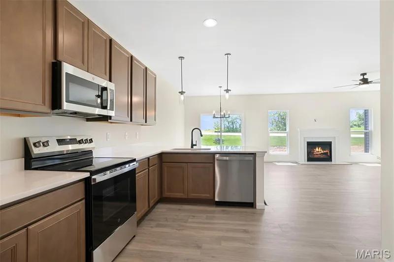 117 Cardinal Flower Drive, Wentzville, MO 63385 — listing photo 8 of 24