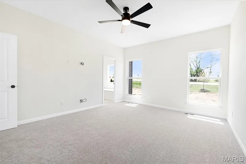 117 Cardinal Flower Drive, Wentzville, MO 63385 — listing photo 14 of 24