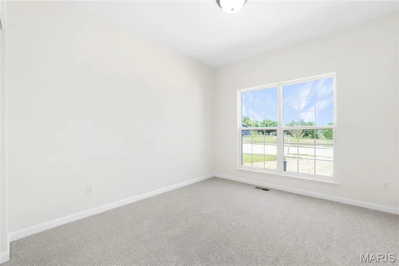 117 Cardinal Flower Drive, Wentzville, MO 63385 — listing photo 22 of 24