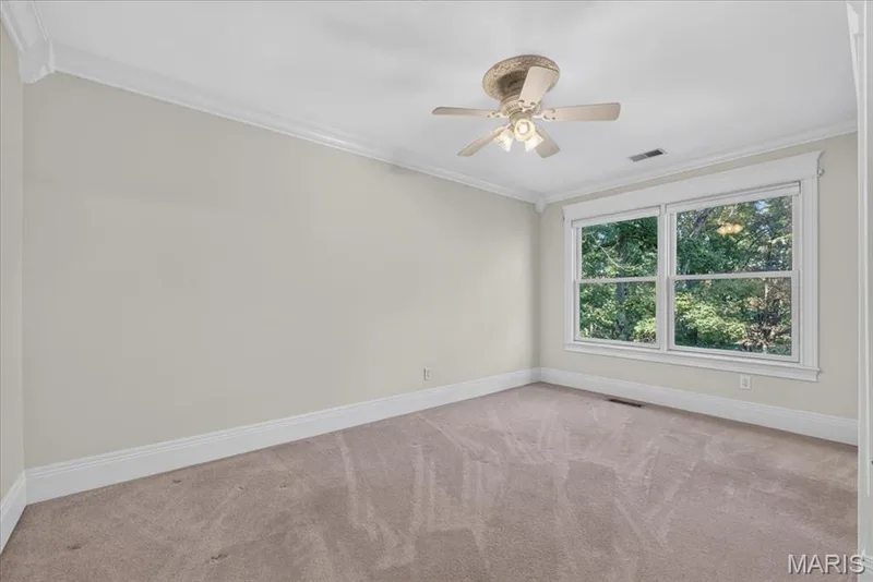 2436 Indian Tree Run, Wildwood, MO 63038 — listing photo 33 of 76