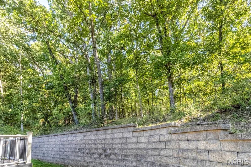 1723 Millstream Drive, Chesterfield, MO 63017 — listing photo 53 of 57